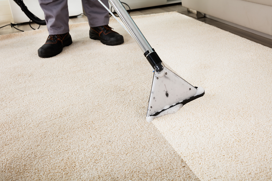 Stain removal for your carpets